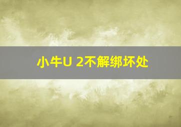 小牛U 2不解绑坏处